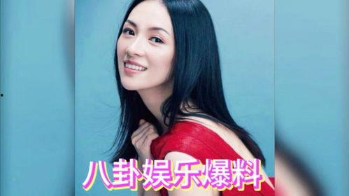 娱乐圈明星在线吃瓜小说,明星吃瓜大揭秘