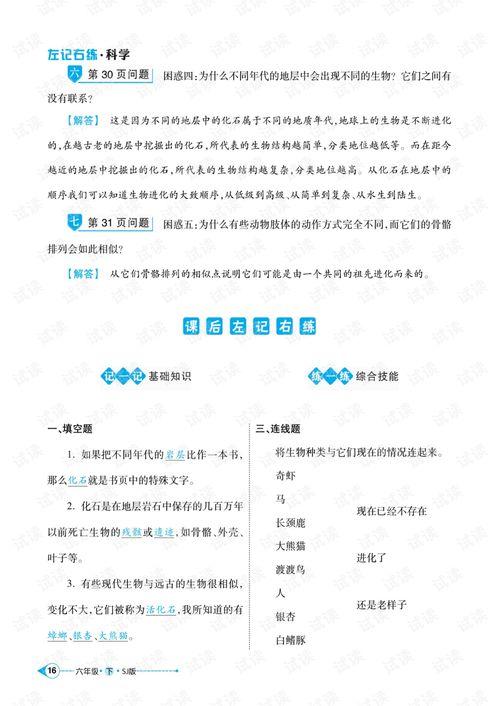 娱乐吃瓜版米苏,揭秘娱乐圈背后的那些事儿