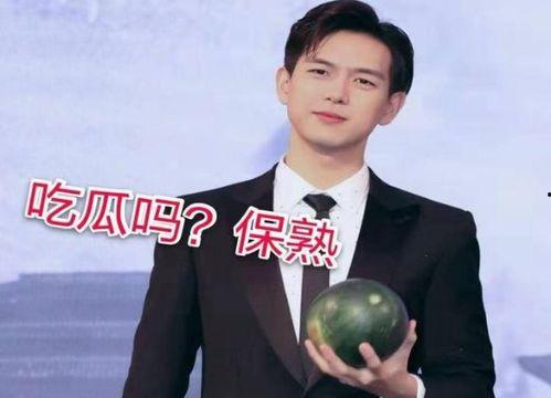 娱乐吃瓜爆料张栋梁微博,从情歌王子到商演歌手，娱乐圈的变迁与坚守