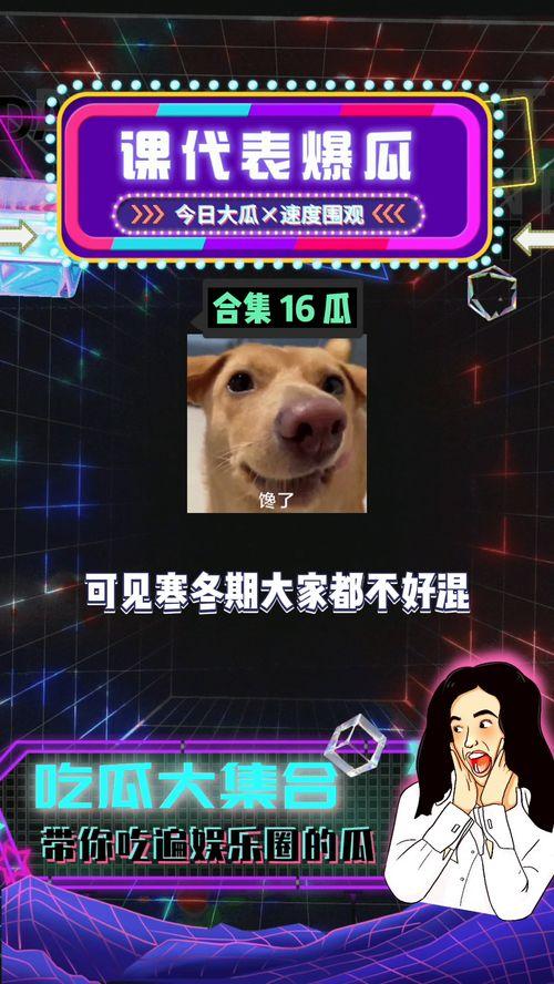 娱乐吃瓜酱网暴,揭秘网络暴力的残酷真相