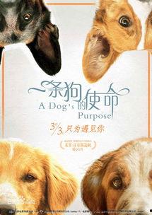 娱乐圈吃瓜小狗小说在线阅读,娱乐圈卧底狗仔的吃瓜日常