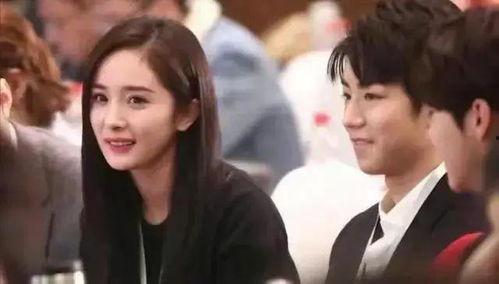 娱乐吃瓜女星关系图,揭秘女星之间错综复杂的关系网