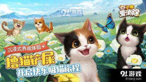 娱乐吃瓜酱游戏小猫,小猫游戏趣味无限，带你领略萌宠世界