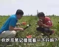 晋江娱乐圈吃瓜文,吃瓜成瘾，揭秘幕后真相
