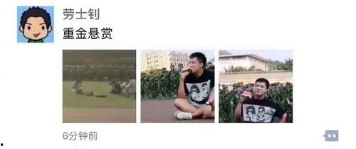 吃瓜娱乐图片搞笑版,吃瓜娱乐搞笑图片盘点