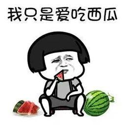 娱乐吃瓜用什么配音,趣味与深度的交织