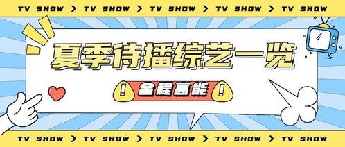 吃瓜娱乐公众号推荐,轻松掌握娱乐圈最新动态！