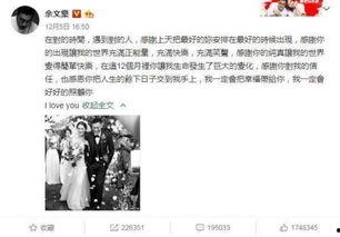 娱乐吃瓜文章大全,揭秘热点事件背后的真相与故事
