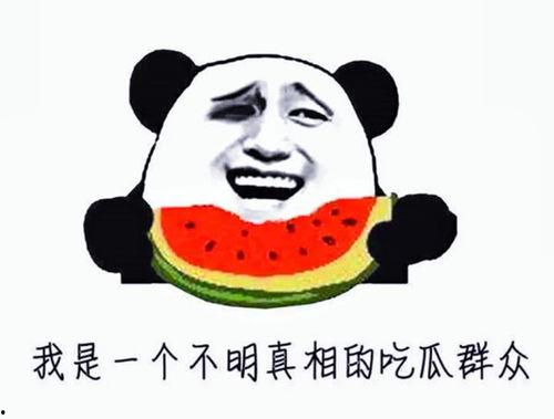 娱乐吃瓜酱的贴纸是什么,一场视觉盛宴的狂欢