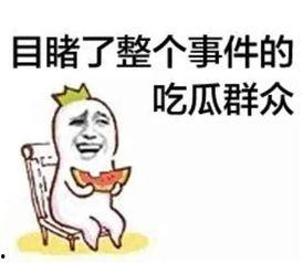 娱乐吃瓜酱肥肥猪的日常,笑料百出，趣味横生