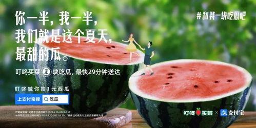 吃瓜娱乐图片文案,揭秘娱乐圈幕后趣闻